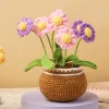Kraiting Kraball Flower Brovet Zestawy dla dorosłych i dzieci z bawełnianą przędzą Niedokończone materiały Pakiet Materiał