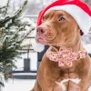 Halsbanden Elegante kleine staart Halsband met strik Kerstmis Gingerbread Man Halsband Boog Jongen Meisje Hond Vlinderdas Huisdier Cadeau Verstelbaar