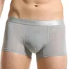 Sous-vêtements sexy hommes glace soie solide sous-vêtements transparents shorts culottes d'été boxeurs slips respirant hommes boxeur