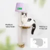 Scratchers Mewoofun Cat Window Climber med högkvalitativ Glass Suction Cup Stylish Lamp Design Cat Climbing Frame Scratching Post Set