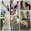 Trelas duplas trela para cães luz roleta retrátil dupla extremidade trela portátil rotativa pet trela para 2 cães andando suprimentos para animais de estimação