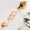 Scratchers 1PC Cat Climbing Półki na ścianę Kota Hamał półki wspinaczkowe Schody Schody Halowe drewniane drewniane drewniane drewniane meble kota