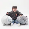 Almofadas 30cm 40cm 60cm selo bonito brinquedo de pelúcia lifelike vida marinha selo macio boneca simulação selo travesseiro crianças brinquedos presente de aniversário