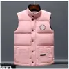 Abiti Gilet imbottito Gilet da uomo Cappotti Giacca di design Parka Manica lunga Cerniera Distintivi Uomo Downs Casual Cappotto ispessito da esterno Gilet di alta qualità