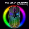 Muizen Draadloze Gaming Muis 2.4G Oplaadbare RGB Muis Verstelbare DPI 6 Knoppen Ergonomische Muizen Voor Windows PC Computer Laptop MacBook