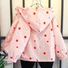 Vestes Fraise Imprimer Filles Coupe-Vent Enfants Casual Dentelle À Capuche Veste Bébés Doux Printemps Trench Manteau Doux Vêtements D'extérieur Pour Enfants