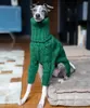Vestuário de cachorro verde gola alta de gama espessada suéter de estimação italiana galgo whippet roupas de malha de duas pernas