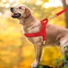 Ensembles de harnais de chien personnalisés, ensemble de laisses pour chiens rembourrés et doux, gilets avec boucle d'identification pour animaux de compagnie personnalisés gratuits avec corde de plomb pour chiens carlin