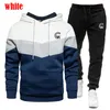 men's sportswear set trend new three color hoodie 2-piece set hooded sweatshirt+sports pants sportswear jogging set e83J#