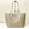 Designer-Coach-Schultertasche, luxuriöse Handtasche, Schulter-Coachtopia-Tasche für Damen, echtes Leder, modische Umhängetasche, Tabby-Damen-Umhängetasche, Sanduhr-Trainer-Tasche 248