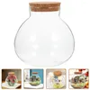 Vazen 2 pc's micro landschap ecologische fles bloemen vaas mos ambachten diy candy jar cork mini container houten basis glas terrarium