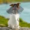 Vêtements pour chiens Voile pour animaux de compagnie Robe de mariée pour chat Mariages Fêtes Accessoires pour cheveux Tête de fleur Coiffure de mariée Cosplay Mariée blanche