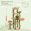 Arbre à chat cactus à plusieurs niveaux avec hamac condo, poteau à gratter pour lit de chaton, grattoirs, grande tour pour chat, jouets pour chat, fournitures pour chat