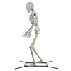 Arts et artisanat Halloween Nt Poseable Squelette Décoration Os Couleur 10 Pieds En Voie Pour Célébrer Livraison Directe Maison Jardin Cadeaux Ot5Xe