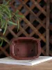 Planters Purple Sand Rectangle Elephant Carved Bonsai Pot Tradition China Carved Succulents Garden Decoration