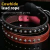 Leashes Large Dog Leash Genuine Leather Braided Dog Training Leash for Shepherd Bulldog Labrador Gold Retriever Pet Leads