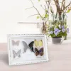 Frame Birthday Gift Exquisite 5pcs Butterflies Photo Frame Specimen Craft Gift Home Decor Ornament Home Decorations