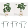 Supports 6/10 pcs Plant Holder Ring Cage Metal Garden Plant Stake Plant for Peony Tomato Vegetable Rose Flowers Vine Gardening Tools
