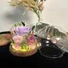 Fleurs décoratives cadeau de fête des mères avec décoration de table légère préservée véritable oeillet rose cadeaux pour grand-mère sa petite amie épouse