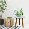 Trays Wooden Plant Stand Plant Table For Succulent Potted For Home Garden Indoor Outdoor Flower Plant Display Free Standing