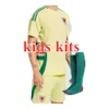 Wales soccer jerseys JAMES BALE 24 25 Welsh quality football shirts JOHNSON N.WILLIAMS RODON T.ROBERTS CABANGO LEVITT MOORE THOMAS kids kit jersey