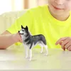 Garden Decorations Husky Dog Statue Crafts Party Favors Collectible Cognitive Toy Realistic Figure Toys For Easter Children Girls Boys