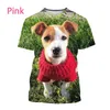 Novo Fi Animal Jack Russell Terrier Dog 3D Impresso T-shirt dos homens Bonito Dog Print Harajuku Streetwear Unisex Casual Top Tees v1my #