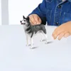 Garden Decorations Husky Dog Statue Crafts Party Favors Collectible Cognitive Toy Realistic Figure Toys For Easter Children Girls Boys