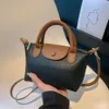 Shop Crossbody Bag Cheap Export Handheld Small Autumn and Winter Texture Single Shoulder for Women 2024 High-end VersatileGKQW