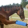 Przewoźnicy konne botki profesjonalne okłady nóg koni Zapobiegaj ukąszeniu muchy leggingi dla koni