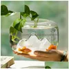 Aquariums Creative Snow Mountain Gold Fish Tank Simple Household Glass Tabletop Round Mini Aquarium Living Room Small Decoration Drop Dhvyu