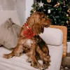 Collari Zampe dallo stile unico Collare per cani in seta rossa Collare per cuccioli con papillon Collare per cani regolabile Regalo per animali domestici per piccole, medie e grandi dimensioni