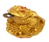 Feng Shui dinero rana de la suerte moneda ToadChan Chu encanto chino de la prosperidad decoración del hogar regalo 2246516