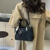 Designer di moda di lusso Tote bags Borsa da donna alla moda francese Borsa da donna alla moda portatile 2024 Versatile modello di pietra Air Texture singola spalla a tracolla da donna Ba