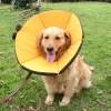 Obroże ubrania elżbietańska kołnierz miękki pies chore opieka zapobiega kęs kołnierze m PET Ochrona Pet Pet przeciw lizanie psa