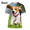 Novo Fi Animal Jack Russell Terrier Dog 3D Impresso T-shirt dos homens Bonito Dog Print Harajuku Streetwear Unisex Casual Top Tees v1my #