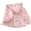 Vestes Fraise Imprimer Filles Coupe-Vent Enfants Casual Dentelle À Capuche Veste Bébés Doux Printemps Trench Manteau Doux Vêtements D'extérieur Pour Enfants