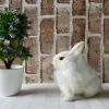 Sculptures simulées de lapin, véritable fourrure, cadeau d'anniversaire, bijoux artisanaux, décoration de maison, décoration de salon