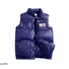 Gilet da uomo Gilet in cotone Disegni Piumino da donna formale senza maniche Tasca Autunno Inverno Moda Cappotti casual Gilet spessi per Keep Wm Puffer