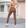 Top Designers Roupas Mulheres Tracksuits Yoga Set Treino Esportes Fitness Leopard Imprimir Ternos Camisas Culturas Leggings Outdoor Outfits Calça Moda Mulher Sweatsuits