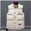 Vestidos Puffer Vest Мужские жилеты Пальто Дизайнерская куртка Парки с длинным рукавом Значки на молнии Мужские дауны Повседневные уличные утолщенные пальто Жилет высокого качества