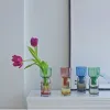 Filmer två sätt blomma vas heminredning vardagsrum dekoration glas vas jul present växt krukor nordiska vaser saftiga planterare