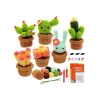 Stickning Kaobuy oavslutat materialpaket Succulent Plant Stick Tool Sticket Crochet Hook för nybörjare med StepbyStep -instruktioner