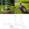 Wystrój żółwi Platforma Turtle Floating Island Aquarium Wyspa Wspinaczka