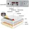 Terrariums 64 oeufs incubateur automatique ferme couveuse incubateur couveuse machine avec retourneur automatique couveuse équipement d'incubation de poulet