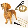 Leashes Metal Dog Leash Rostfritt stålkedja 18K Guld PET LEAD med mjukt PU -läderhandtag för medelhög hundpromenadträning