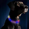 Colliers lumineux en Silicone pour chien, multicolore, chargeur USB, collier de sécurité pour chiot, taille découpable pour la marche nocturne des animaux de compagnie