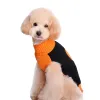 Sweaters Benepaw Halloween Dog Sweater Pumpkin Small Medium Dog Clothes Hot Sale Comfortable Puppy Knitted Pet Jumper Pullover