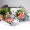 Kit de Terrarium en verre à souder en forme de Cube, Vase à fleurs créatif, pots de fleurs en verre pour la maison, jardin, décoration de mariage