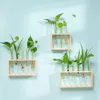 Vases Simple Wooden Frame Vase Green Hydroponic Decorative Ornament Wall Mounted Living Room Small Fresh